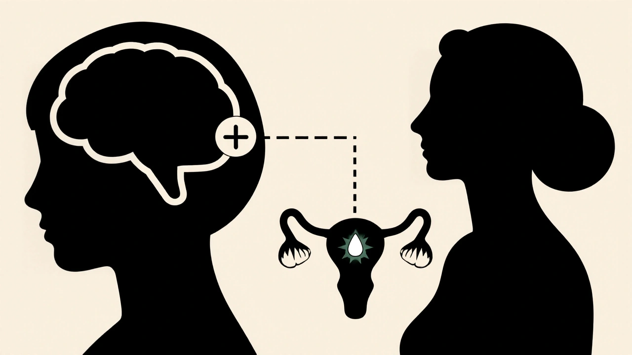 Science du clomifène : comment il agit