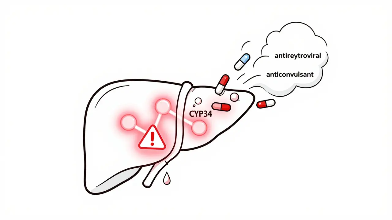 Foie humain avec enzymes activées détruisant des comprimés médicamenteux.