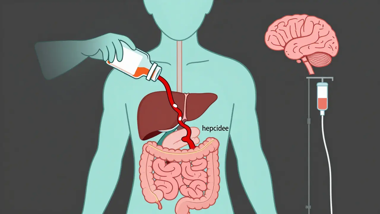 Schéma du corps montrant un blocage de l'absorption du fer par l'hormone hepcidine et une voie intraveineuse alternative.