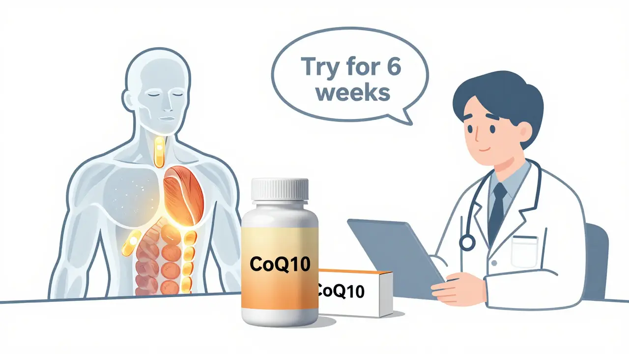 Un médecin et un patient discutant avec une vue transparente des mitochondries musculaires lumineuses.