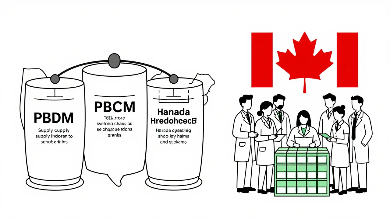 US : PBMs concentrés vs Canada : collaboration et stocks stratégiques.