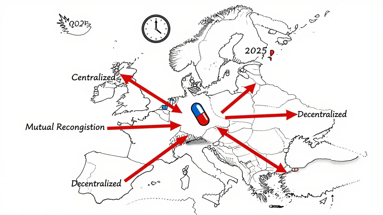 Marchés génériques européens : approches réglementaires dans l'UE