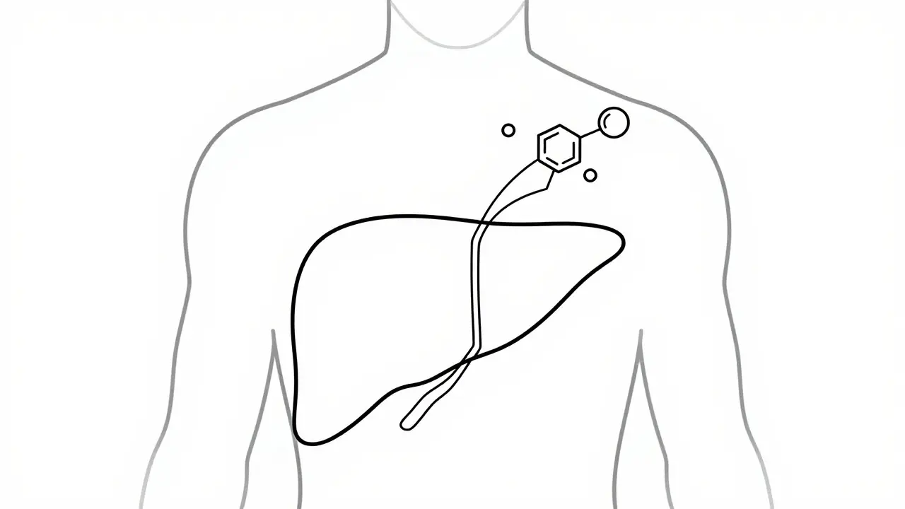 Métformine et Maladie du Foie : Comment Prévenir l'Acidose Lactique